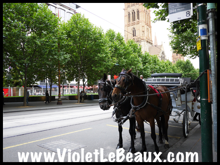 VioletLeBeaux-Panasonic-GF3-Melbourne-Review00175_1018 copy
